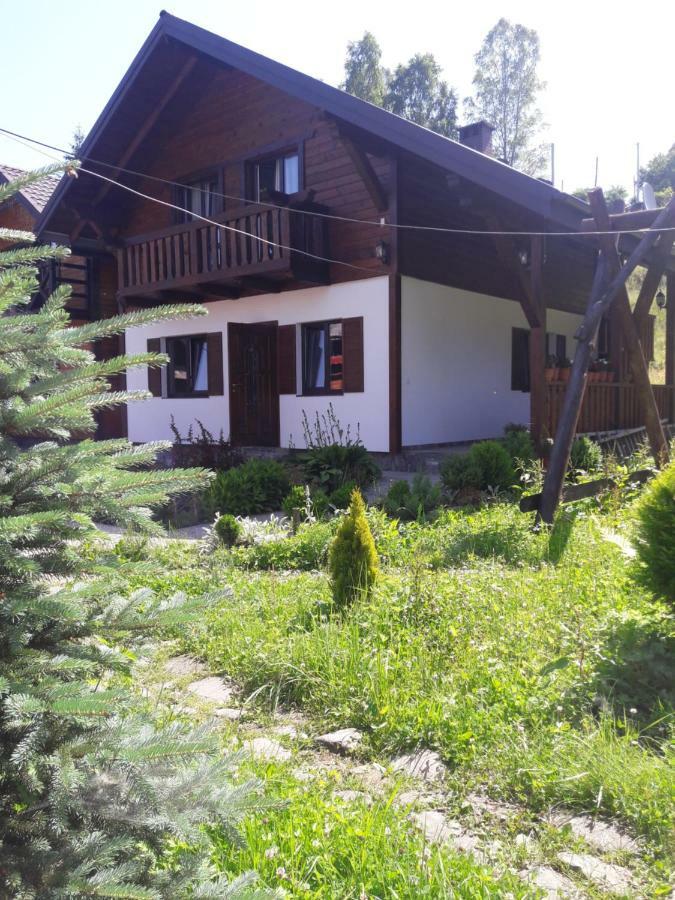 Cottage house Vorokhta Dış mekan fotoğraf